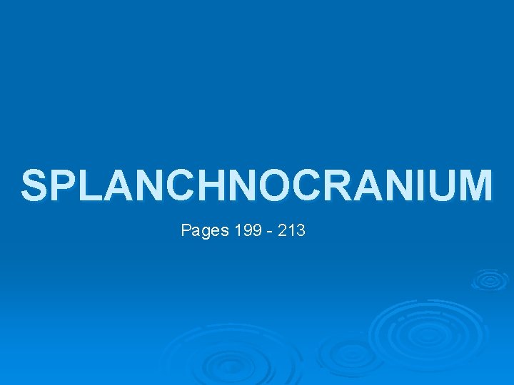SPLANCHNOCRANIUM Pages 199 - 213 