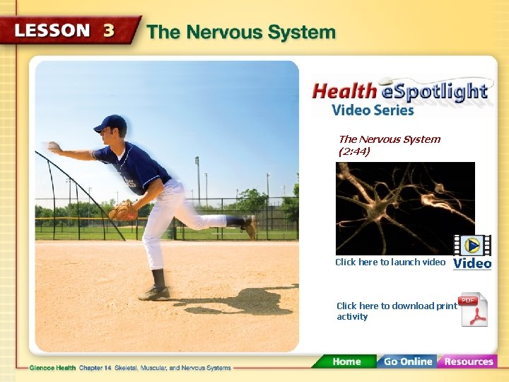 The Nervous System (2: 44) Click here to launch video Click here to download