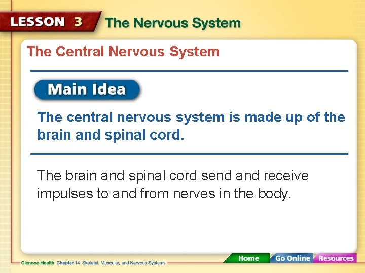 The Central Nervous System The central nervous system is made up of the brain