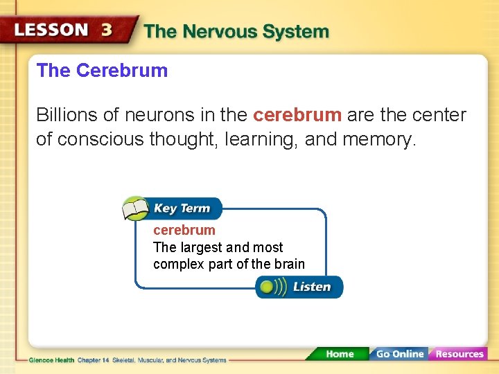 The Cerebrum Billions of neurons in the cerebrum are the center of conscious thought,