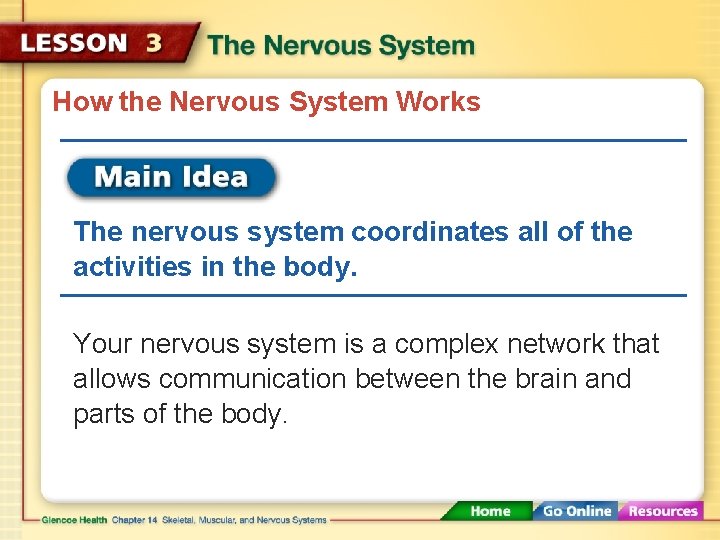 How the Nervous System Works The nervous system coordinates all of the activities in