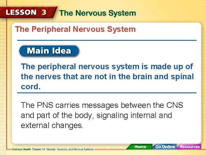 The Peripheral Nervous System The peripheral nervous system is made up of the nerves
