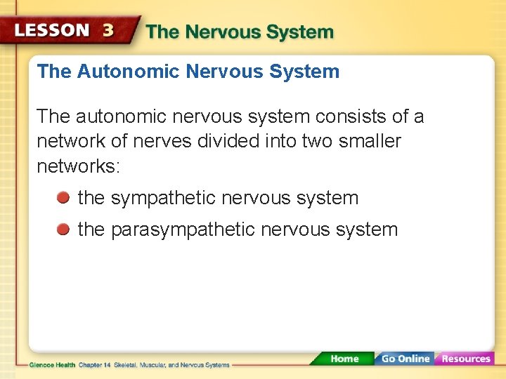 The Autonomic Nervous System The autonomic nervous system consists of a network of nerves