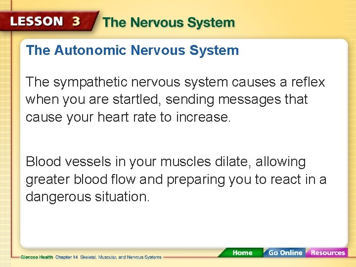 The Autonomic Nervous System The sympathetic nervous system causes a reflex when you are