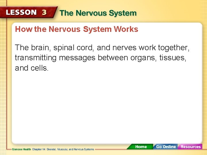 How the Nervous System Works The brain, spinal cord, and nerves work together, transmitting