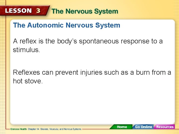 The Autonomic Nervous System A reflex is the body’s spontaneous response to a stimulus.