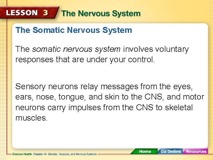 The Somatic Nervous System The somatic nervous system involves voluntary responses that are under