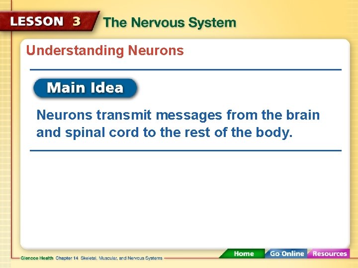 Understanding Neurons transmit messages from the brain and spinal cord to the rest of