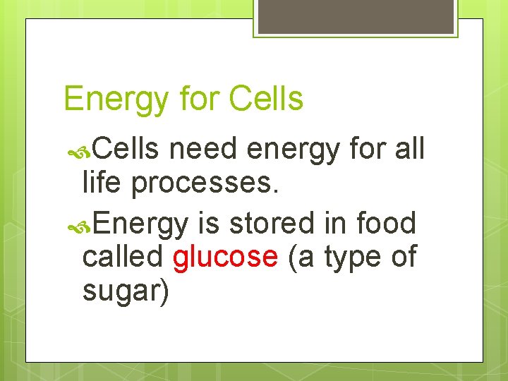 Energy for Cells need energy for all life processes. Energy is stored in food