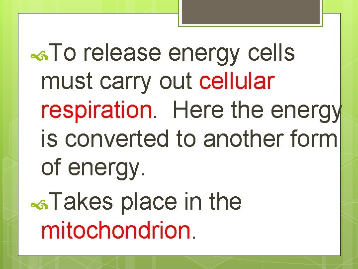  To release energy cells must carry out cellular respiration. Here the energy is