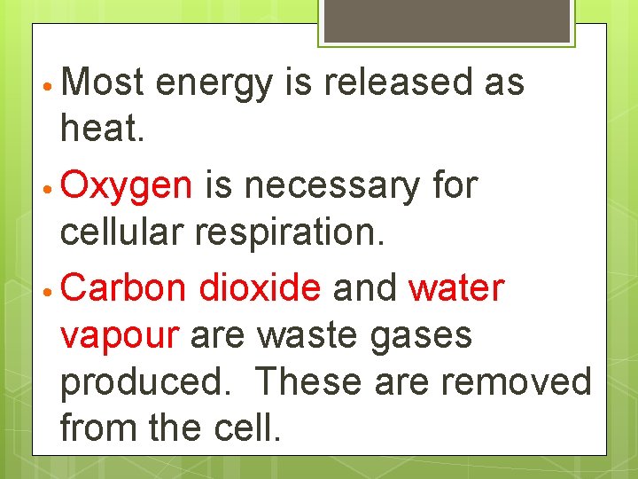  • Most energy is released as heat. • Oxygen is necessary for cellular