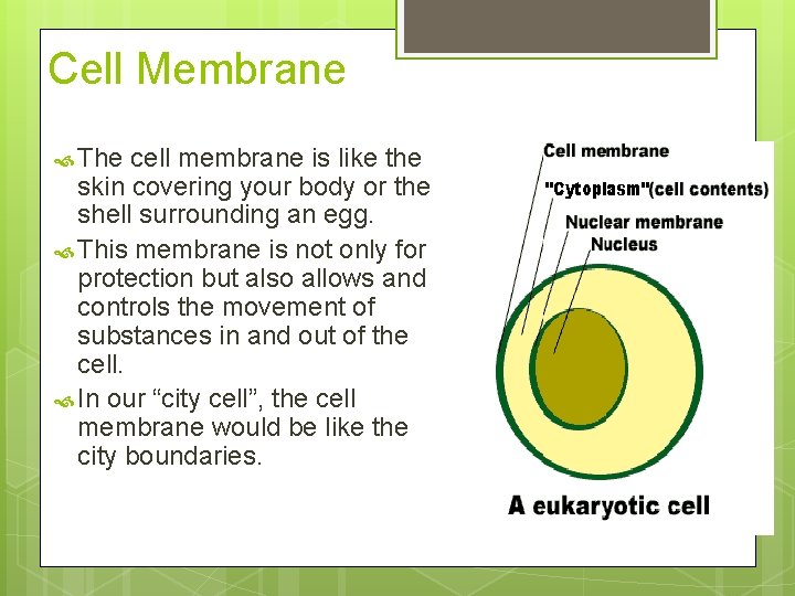 Cell Membrane The cell membrane is like the skin covering your body or the