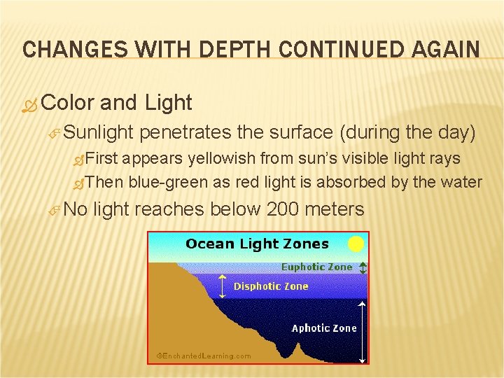 CHANGES WITH DEPTH CONTINUED AGAIN Color and Light Sunlight penetrates the surface (during the