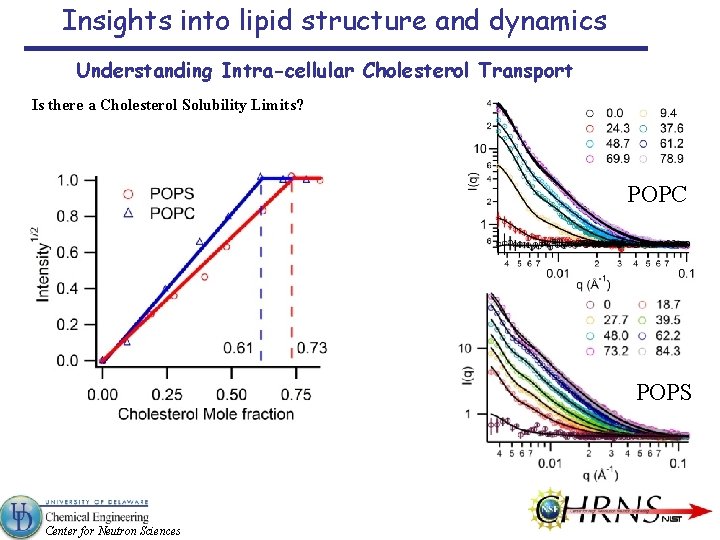 Insights into lipid structure and dynamics Understanding Intra-cellular Cholesterol Transport Is there a Cholesterol