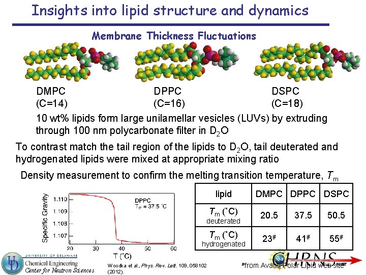 Insights into lipid structure and dynamics Membrane Thickness Fluctuations DMPC DPPC DSPC (C=14) (C=16)