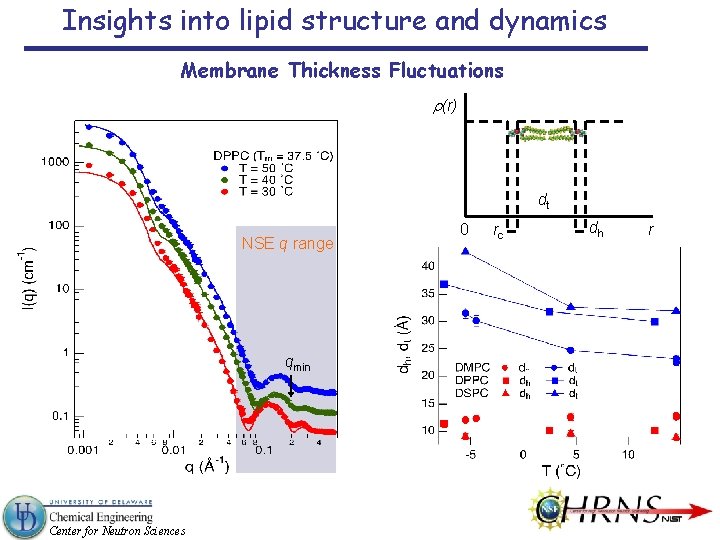 Insights into lipid structure and dynamics Membrane Thickness Fluctuations r(r) dt NSE q range