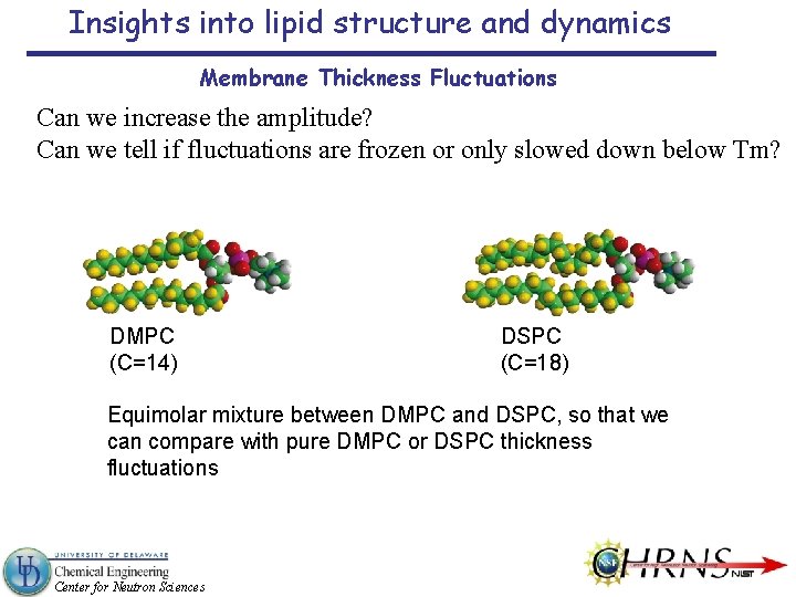 Insights into lipid structure and dynamics Membrane Thickness Fluctuations Can we increase the amplitude?