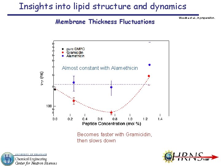 Insights into lipid structure and dynamics Membrane Thickness Fluctuations Almost constant with Alamethicin Becomes