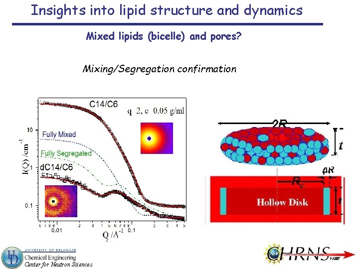 Insights into lipid structure and dynamics Mixed lipids (bicelle) and pores? Mixing/Segregation confirmation Center