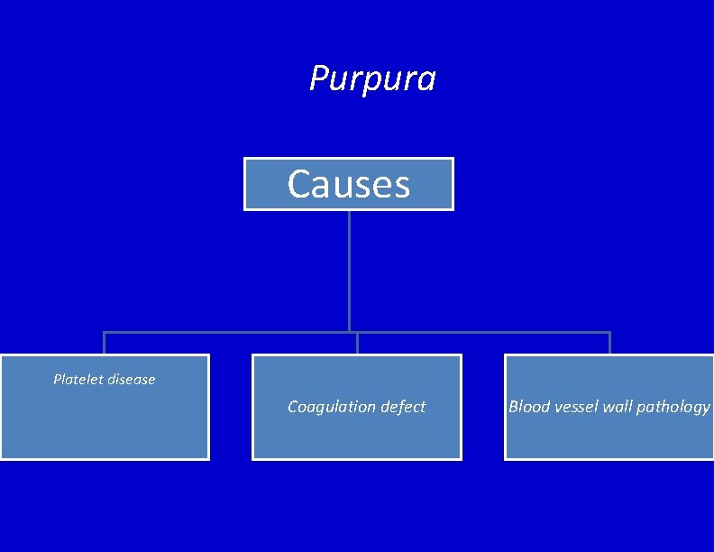 Purpura Causes Platelet disease Coagulation defect Blood vessel wall pathology 