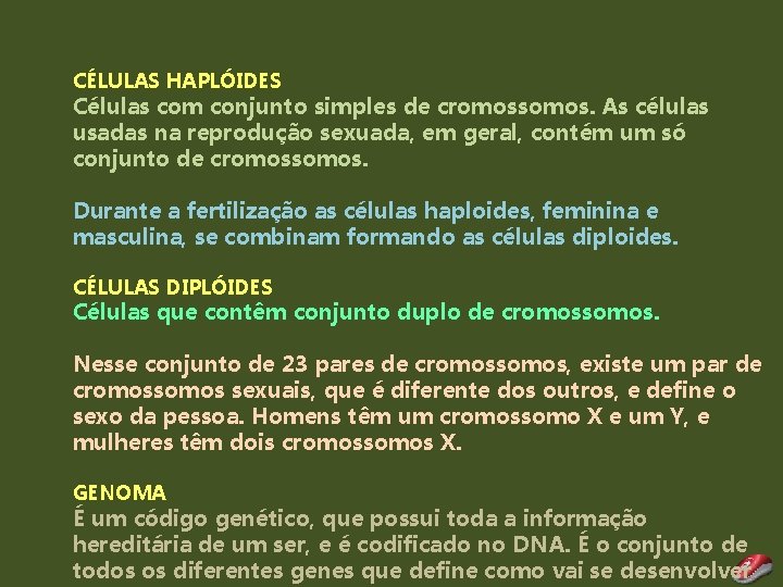 CÉLULAS HAPLÓIDES Células com conjunto simples de cromossomos. As células usadas na reprodução sexuada,