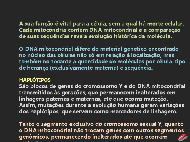 A sua função é vital para a célula, sem a qual há morte celular.