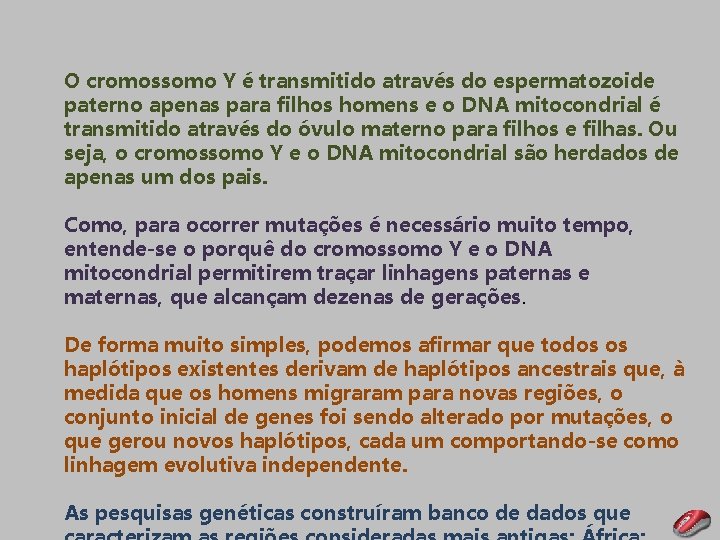 O cromossomo Y é transmitido através do espermatozoide paterno apenas para filhos homens e