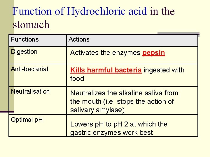 Function of Hydrochloric acid in the stomach Functions Actions Digestion Activates the enzymes pepsin