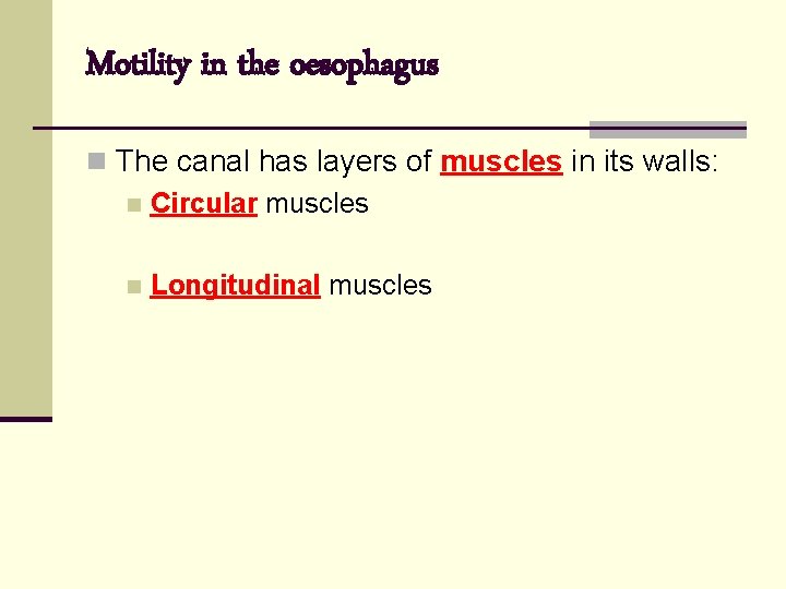 Motility in the oesophagus n The canal has layers of muscles in its walls: