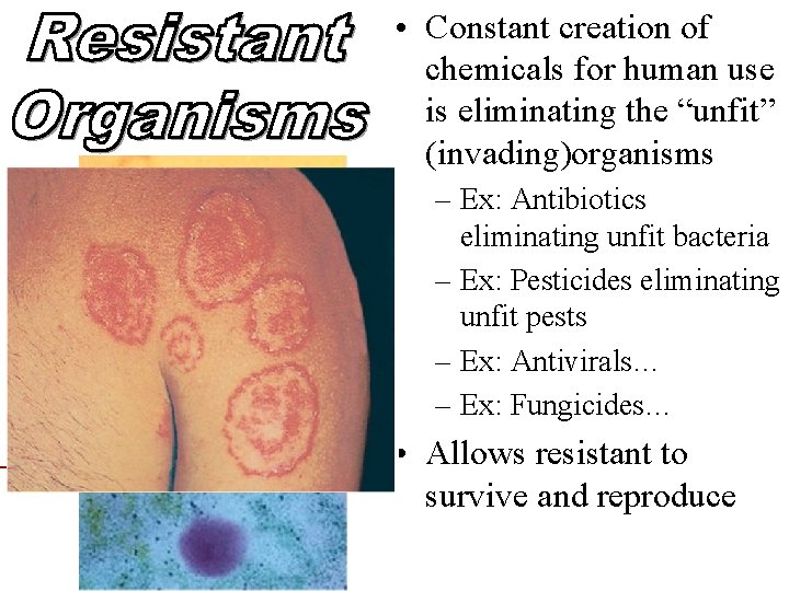  • Constant creation of chemicals for human use is eliminating the “unfit” (invading)organisms