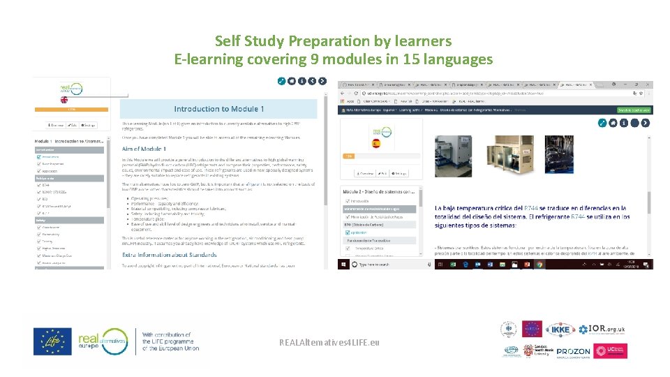 Self Study Preparation by learners E-learning covering 9 modules in 15 languages REALAlternatives 4