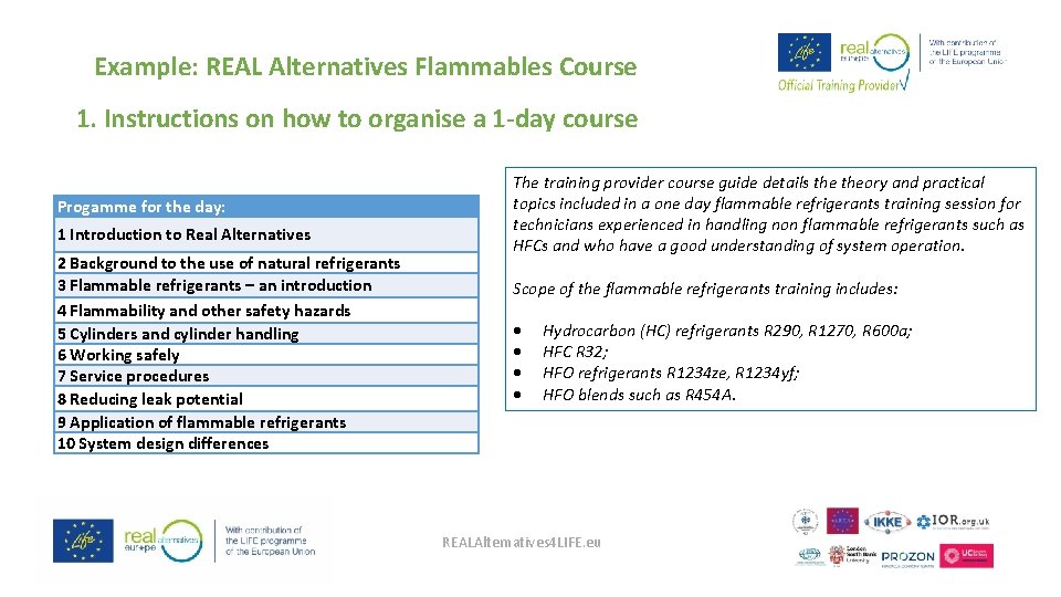 Example: REAL Alternatives Flammables Course 1. Instructions on how to organise a 1 -day