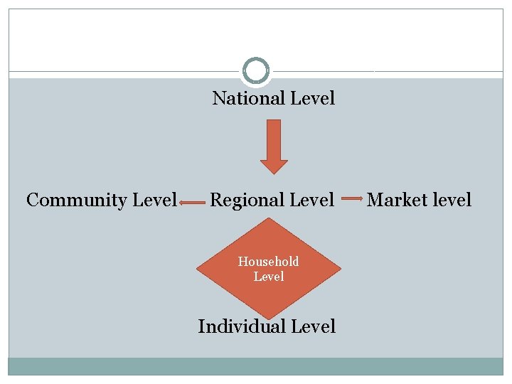 National Level Community Level Regional Level Household Level Individual Level Market level 