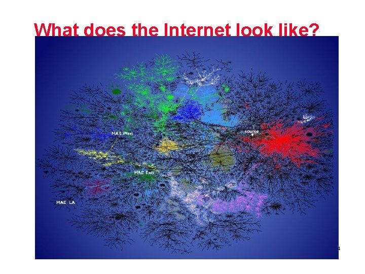 What does the Internet look like? Cruelty of Teaching Computer Science Redux, Fall 2005