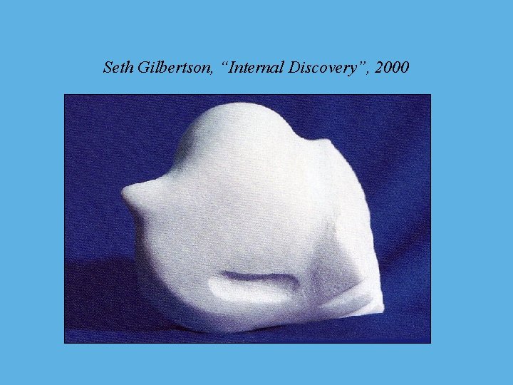 Seth Gilbertson, “Internal Discovery”, 2000 