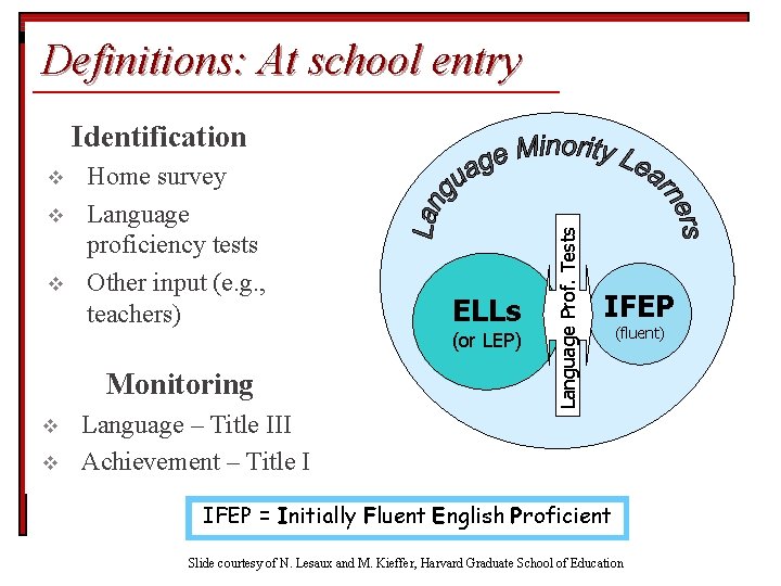 Definitions: At school entry v v v Home survey Language proficiency tests Other input