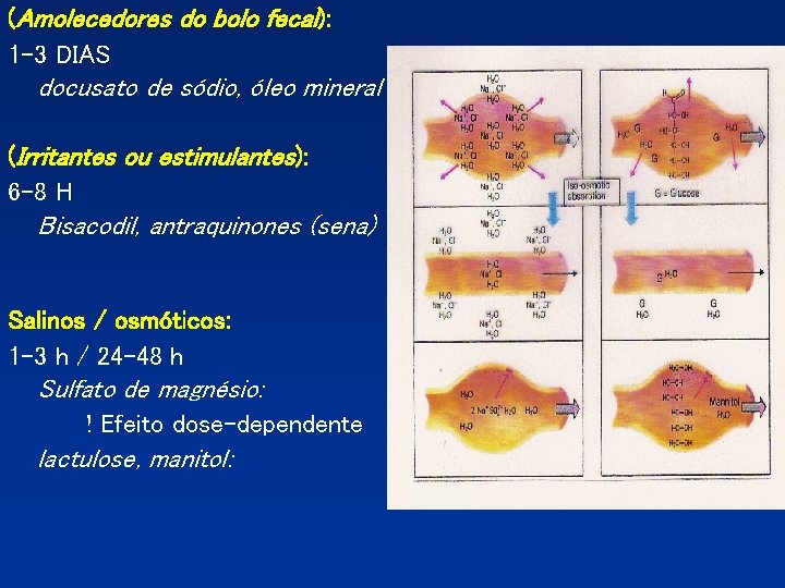 (Amolecedores do bolo fecal): 1 -3 DIAS docusato de sódio, óleo mineral (Irritantes ou (Amolecedores do bolo fecal): 1 -3 DIAS docusato de sódio, óleo mineral (Irritantes ou