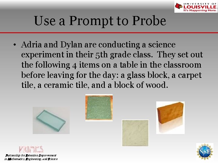 Use a Prompt to Probe • Adria and Dylan are conducting a science experiment