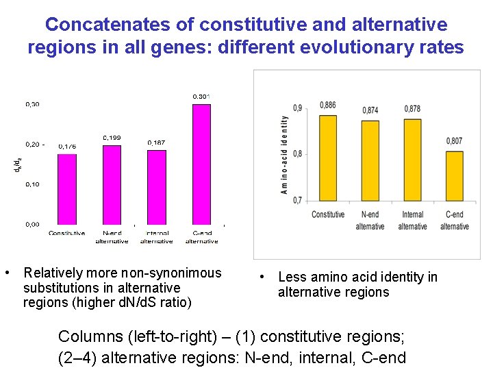 Concatenates of constitutive and alternative regions in all genes: different evolutionary rates • Relatively