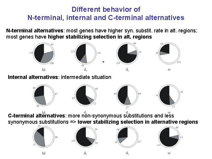 Different behavior of N-terminal, internal and C-terminal alternatives N-terminal alternatives: most genes have higher