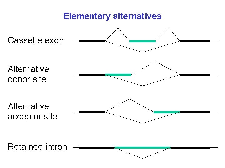 Elementary alternatives Cassette exon Alternative donor site Alternative acceptor site Retained intron 