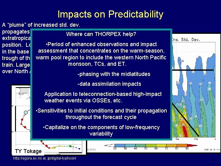 Impacts on Predictability A “plume” of increased std. dev. propagates downstream of. Where the
