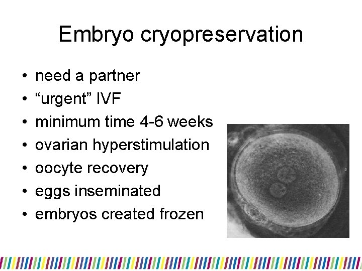 Embryo cryopreservation • • need a partner “urgent” IVF minimum time 4 -6 weeks Embryo cryopreservation • • need a partner “urgent” IVF minimum time 4 -6 weeks