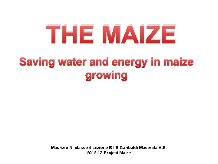 THE MAIZE Saving water and energy in maize growing Maurizio N. classe 4 sezione