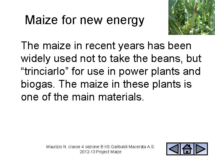 Maize for new energy The maize in recent years has been widely used not