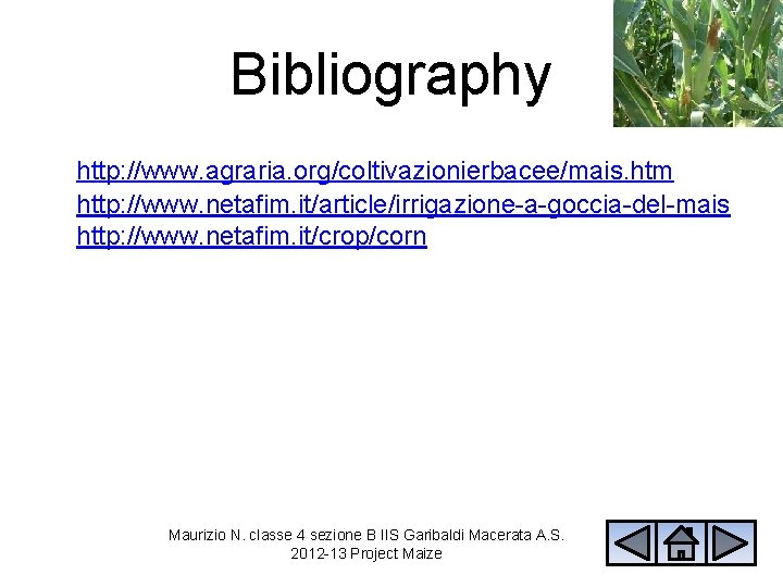 Bibliography http: //www. agraria. org/coltivazionierbacee/mais. htm http: //www. netafim. it/article/irrigazione-a-goccia-del-mais http: //www. netafim. it/crop/corn