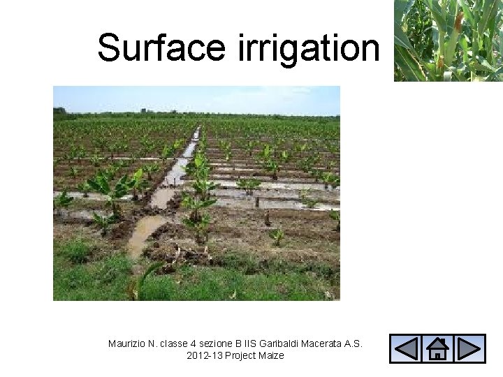 Surface irrigation Maurizio N. classe 4 sezione B IIS Garibaldi Macerata A. S. 2012