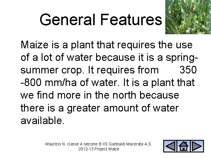 General Features Maize is a plant that requires the use of a lot of