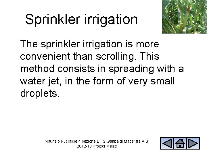 Sprinkler irrigation The sprinkler irrigation is more convenient than scrolling. This method consists in