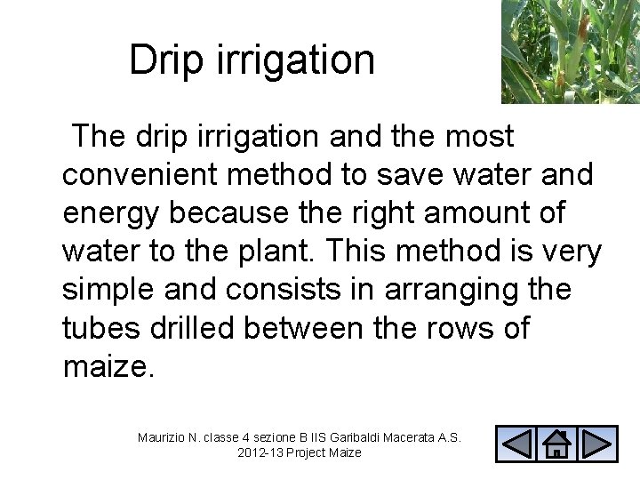 Drip irrigation The drip irrigation and the most convenient method to save water and